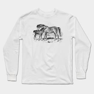 A Foal with Mare, Horses Vintage Black & White  Illustration Long Sleeve T-Shirt